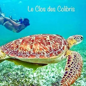 Colibris Vue Panoramique Et Montagne Pelée , 500 M Dans Un Parc , Calme Assuré Idéal Pour Découvrir Le Nord Caraïbes Le Carbet